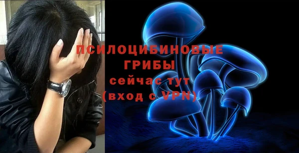бошки Баксан
